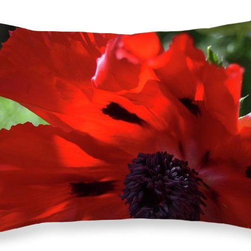 poppy iv earthwise designs 7f941084 2d43 464a 9ed0 b09cc29eced0