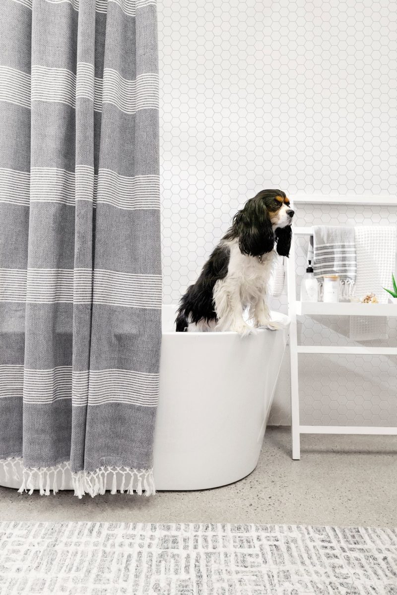 tuckerstripeshowercurtain c5c50056 09c3 4bda 8da3 86e0c4f4fa42